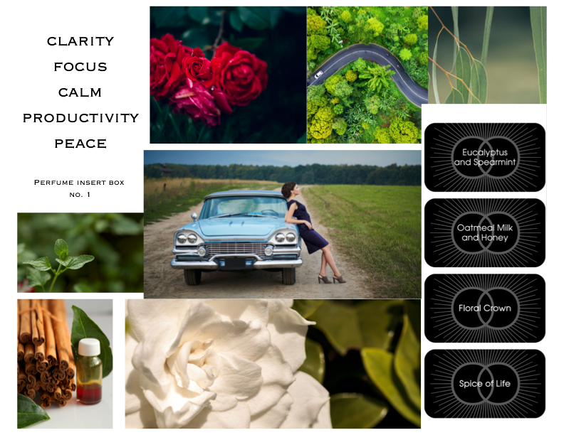 Perfume Insert Sample Pack - Clarity, Focus, Calm, Productivity and Peace